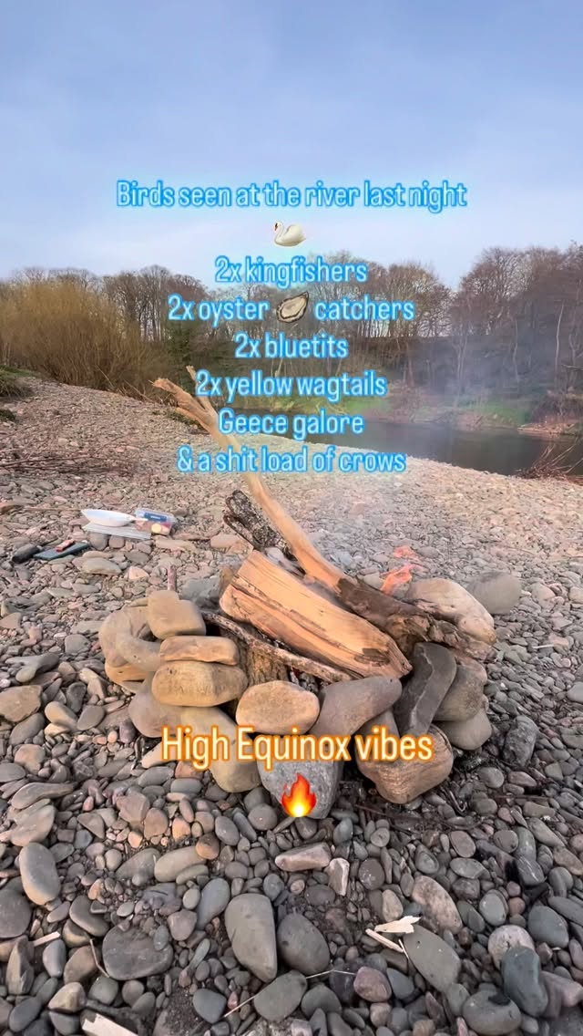 Last night we were baptised by nature .
Rewarded for staying out by the river until after dark .
I can still smell the fire 🔥.
Enjoy the new dawn everyone ☀️
#Equinox #sunshine #birdwatching #kingfishers #wildswimming