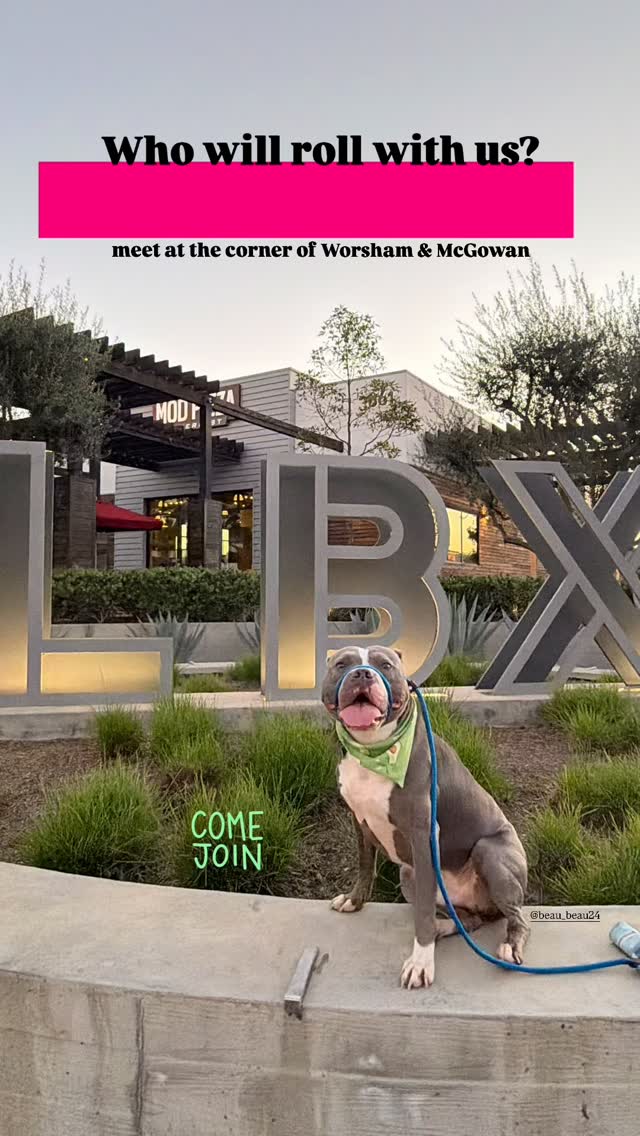 Don’t walk alone. Walk with us! LBX • 6:30 pm • corner of Worsham & McGowan.
Our walks respect you and your dog’s need for space, help dogs learn to be calm around others and create an opportunity for us to meet and support each other. Walks among others can satisfy our dog’s need to belong and often lead to a long nap afterwards. And if you need help with any behavior challenges, we can offer suggestions to help you overcome or manage them. Please reach out!
Some of our dogs are scared. Some are shy. Some are reactive. Some are friendly, but learning how to be calm around others. We maintain these rules on our walks: a minimum of ten feet from others (unless dogs are together), one dog per handler, a six-foot or shorter leash (no retractables, please) and NO dog intros. It is everyone’s responsibility to keep their dogs safe and safely under control. If you can follow our rules, you are welcome to join us. Please feel free to use a muzzle if your dog would benefit from it. If you’re not sure if your dog would do well at a pack walk, please message us for more information. @beau_beau24
#packwalk #longbeachdog
