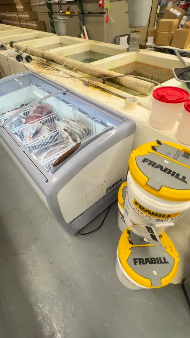 New addition to the bait shop guys, we hope this freezer is easier to use for the consumer while keeping the frozen bait separated and easy to distinguish from one another
$9.99 all frozen