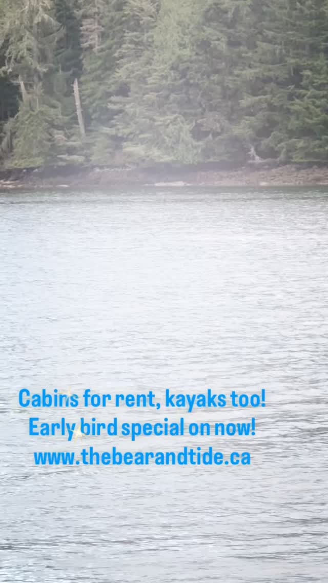 Springtime is here! 🌱☀️ Check out our early booking specials at www.thebearandtide.ca!#thebearandtide #nature #westcoast #cabinsforrent