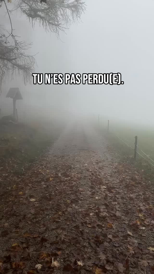 On pense souvent qu’on est perdu.
Mais en réalité, on est juste dans le flou.
Et ce flou est inconfortable.
Alors on cherche à en sortir vite.
On veut des réponses.
On veut une direction.
On veut que ça s’arrête.
Mais aller vite ne clarifie rien.
Au contraire, ça évite de voir ce qui doit être vu.
Moi, je ne travaille pas la vitesse.
Je travaille ce moment-là.
Le flou.
Le brouillard.
Parce que quand ça devient clair, il n’y a plus besoin de forcer.
La sécurité revient.
Et la confiance s’installe naturellement.
💁🏻♀️Et toi, c’est flou dans quel domaine de ta vie ?
#developpementpersonnel #confianceensoi #coachdevie
#blocage#evolutionpersonnelle