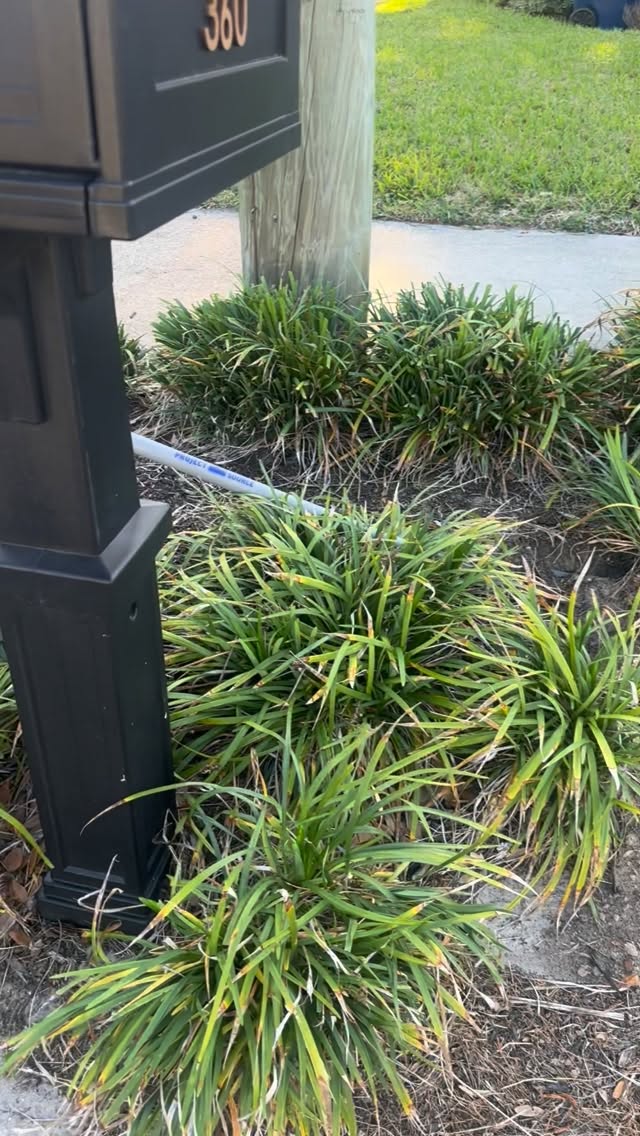 I used to think growing flowers had to be complicated…
until I planted zinnias 🌼
Now they’re one of the easiest, most rewarding things in my garden- especially in this Florida heat.
If you want armfuls of blooms without all the stress, this is where to start.
Comment “Flowers” and I’ll send you everything you need to know 💌
Follow along for more simple garden + home inspiration!
#zinnias #cutflowergarden #floridagardening #growflowers #gardeningforbeginners