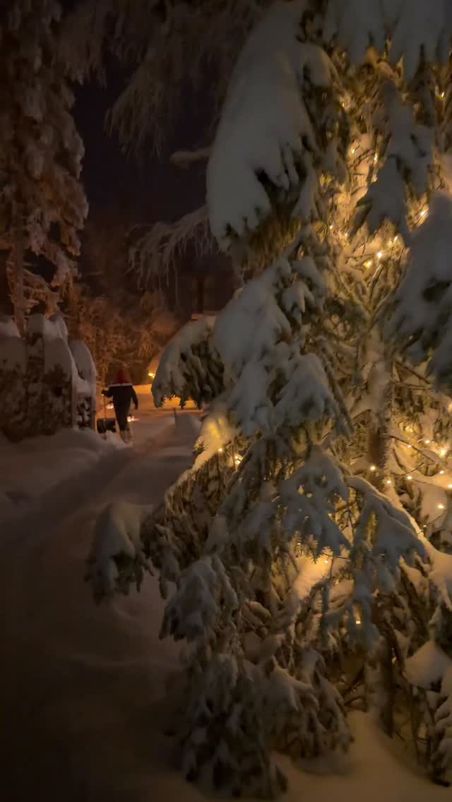 It’s strange to think that it’s only 2 more weeks till our Arctic Spa is closed for the season.
📍Levi Foxfires
#visitlapland #snowytrees #lapland