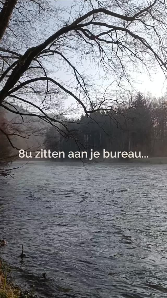 8 uur zitten per dag… en dan schrik je ervan dat je rug of nekpijn hebt?
Je zit uren na elkaar. Gaat van meeting naar meeting. Stress is alom aanwezig.
Tegen het einde van de dag is je rug stijf, je nek trekt tegen en je energie zakt.
En toch denk je: “ik moet gewoon wat meer sporten”
Maar het probleem zit niet alleen daar.
👉 Het zit in wat je élke dag doet.
👉 In hoe lang je blijft zitten.
Wanneer je begrijpt waarom langdurig zitten je klachten triggert,
en wat jouw lichaam op dat moment nodig heeft,
kan je daarop inspelen, in plaats van te denken dat sporten alles gaat oplossen.
Zodat je werkdag geen aanslag wordt op je rug.
Maar gewoon… een werkdag.