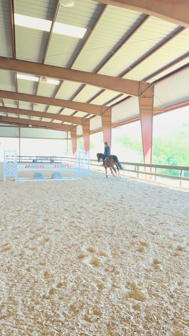KMT Assistant Trainer, Caroline McCoy, putting in the work! Prepping for West Palms at Murieta next week! So fun to work with such a talented young trainer. It’s show time!!!🤩 #jumpingtothenextlevel #lovethejourney #westpalmsevents