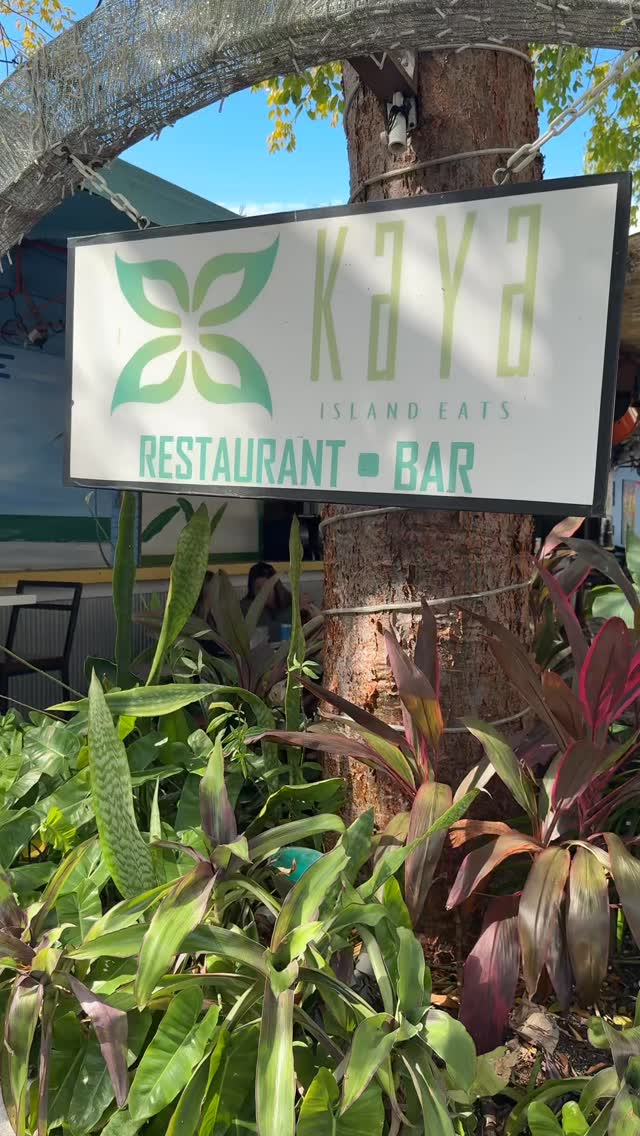 This is the life. 🫶 🏝️ 🍹
📸 @mrhappyhourkeywest
#keywest #keywestflorida #floridakeys #conchlife #duval