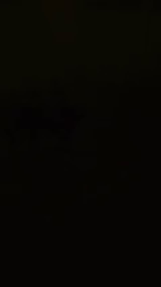 Always love having Champion & Charlie boarding with me, Champ is such a sweet boy & Charlieâs loves her some attention! đž
#abetterpetdogtraining #dogsoflasvegas #dogboardinglasvegas #mustlovedogs #vegasdogs