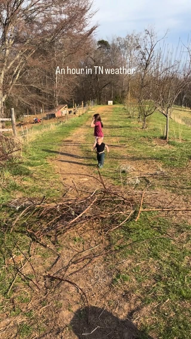 When we moved here a local said âif you donât like the weather, just wait 10 minâ and that has proven to been so true đ
#homestead #tennessee #country #storm
