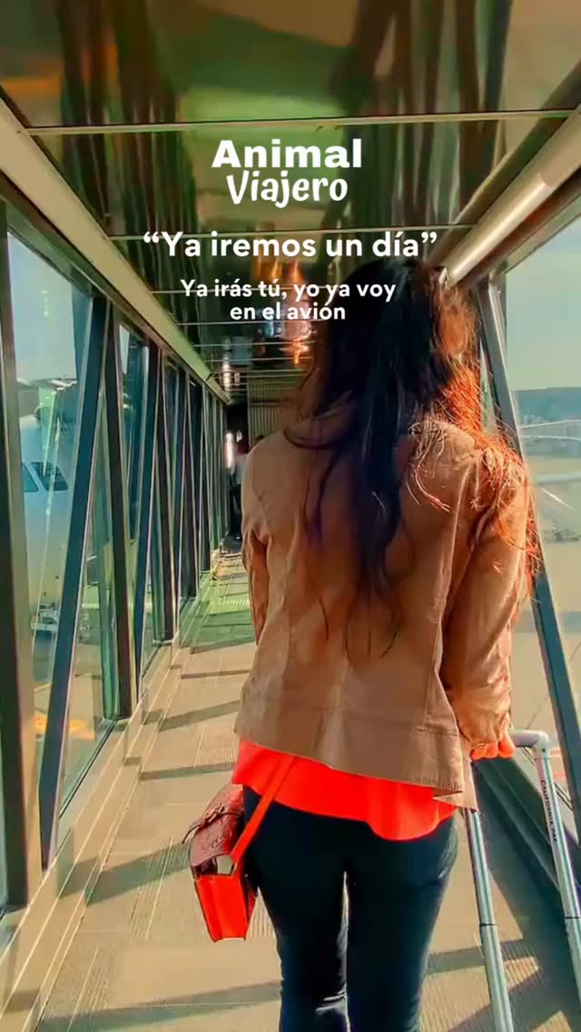 Porque vida solo hay una ✈️
Visita nuestra web y escoge tu destino ideal
Www.animalviajero.com
#animalviajero #agenciadeviajes #viajes #viajerosporelmundo agenciadeviajescdmx