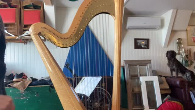 Sightseeing session with doggy Tommie 🐶(who is trying to tell me that he wants to go for a walk to the park with the bakfiets).
Playing through the mesmerizing music of Lera Auerbach for our @lumen.ensemble new concert program PORTRAITS. This is the first part of Bilder der Kindheit🧡
#portraits #newmusicprogram #harpsolo #heidewachtel #harpistsofinstagram @evatebbe