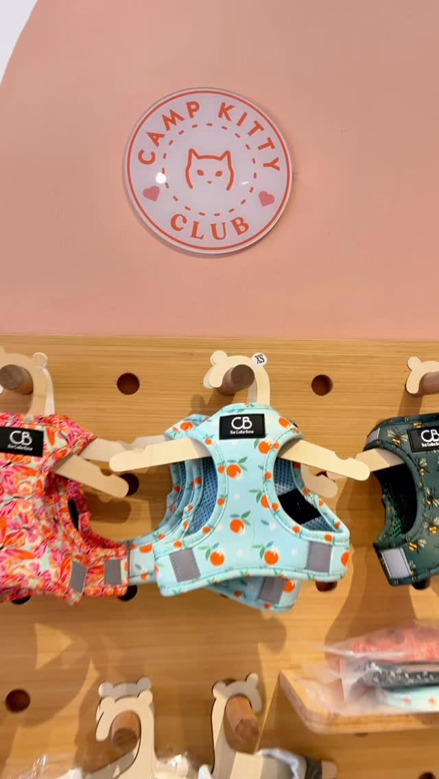 Welcome to Purrks Week! A monthly treat of our Camp Kitty Club members.
Purrks Week #01: 28th Mar - 5th Apr 2026
Stay tuned! 🧡🐱