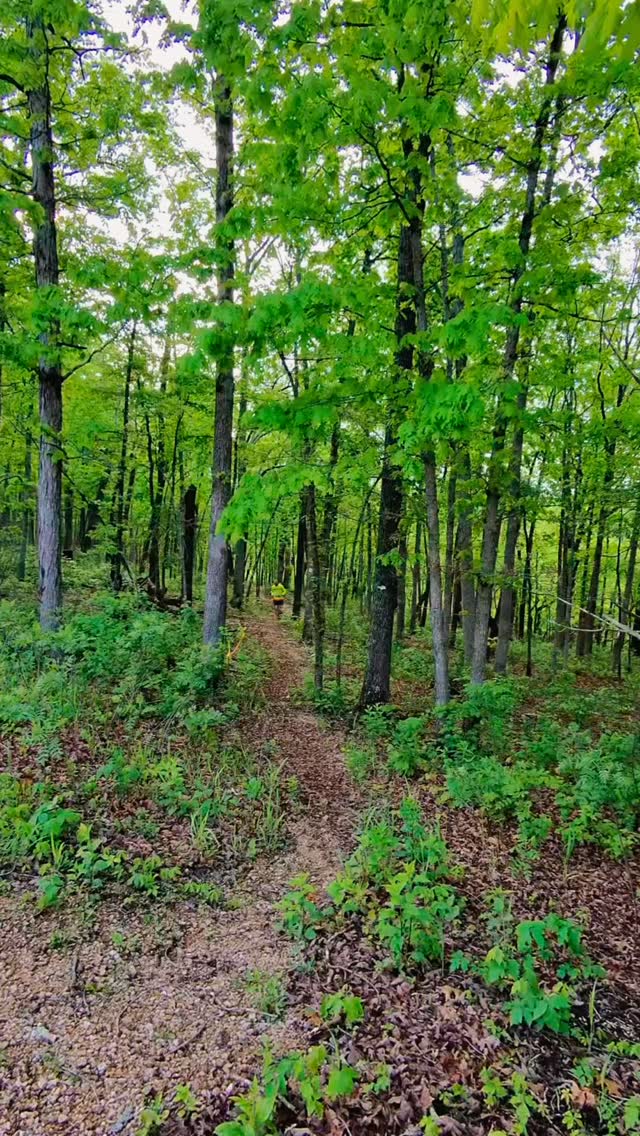 Just DREAM! First lacing them up and START. The Ozark Trail is calling Missouri friends. Come take the pines on 5.2.26 🌲