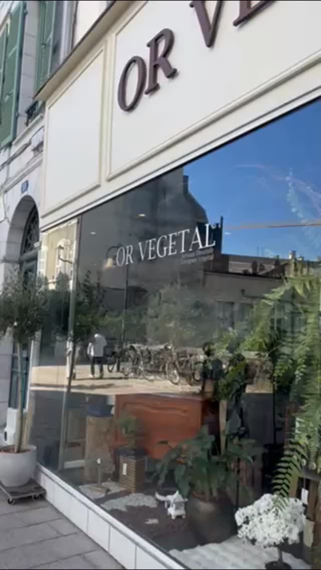 On y est... Le printemps est officiellement là. 🥰
#paumaville #orvegetal #artisanfleuriste #plantshop #florist