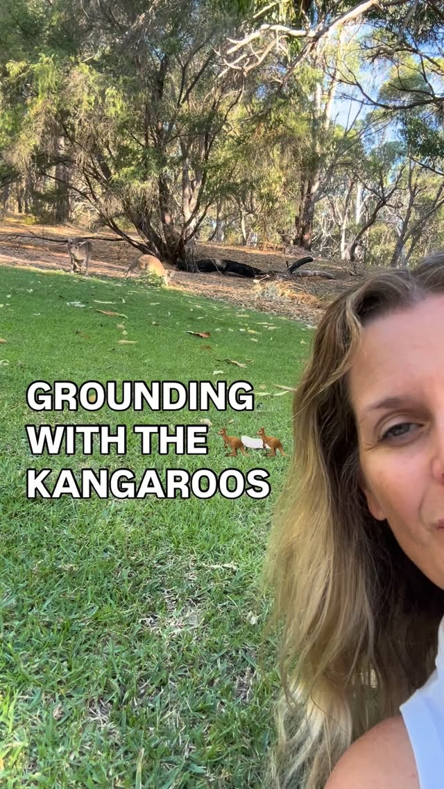 Grounding in nature with the kangaroos 🦘 🦘
Regulating the nervous system. Calming the mind, the body, the soul. 🙏🧘♀️
#naturalinnerhealth #tammymillernaturopath #calmisyoursuperpower #kangaroos #nervoussystemregulation