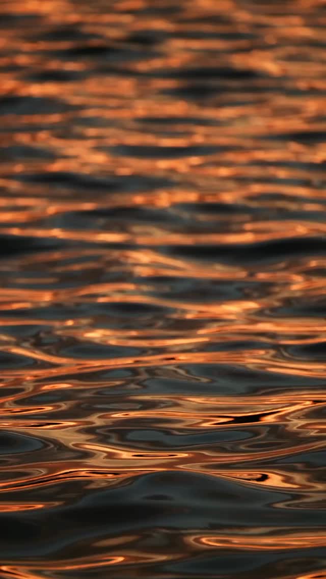 When fear asks… faith answers
Fear always shows up with questions: “what if everything goes wrong?”
But faith whispers something different: “even if it does… I’ll be okay.”
It’s not about having no fear,
it’s about not letting it decide for you.
Today, choose to trust… even without all the answers.
#faith #trust #growth #mindset #healing selflove