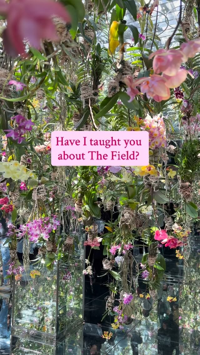 This line from Shrinking on @appletv is so beautiful. And how apropos that it is delivered by none other than Han Solo.
The beauty of healing in relationship (therapy) happens when you finally feel safe enough to answer the call of ‘The Field’ and do the work that leads you to the person you were always supposed to be.
Some of our “problems” aren’t just random hurdles, but the universe (or our subconscious, or our patterns that are no longer working) pointing at opportunities to grow. You’re not someone to be fixed or optimized, but someone to be met with care, without judgment, as you encounter The Field.
#therapy #shrinking #theforce #therapist #personalgrowth