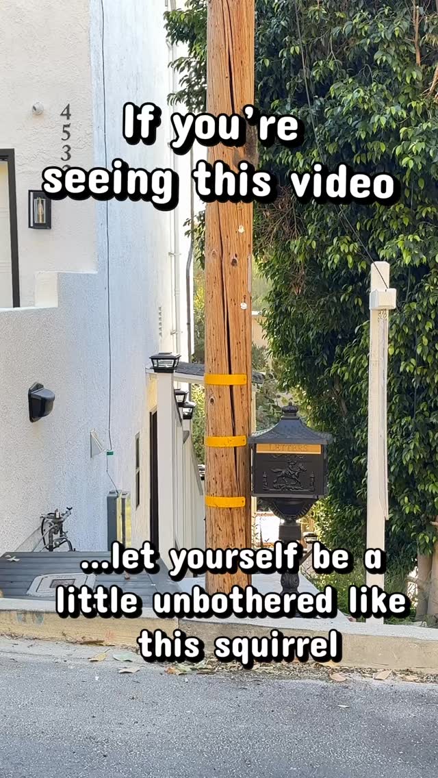 Don’t let anyone steal your joy!! #dogsofinstagram #mospaws