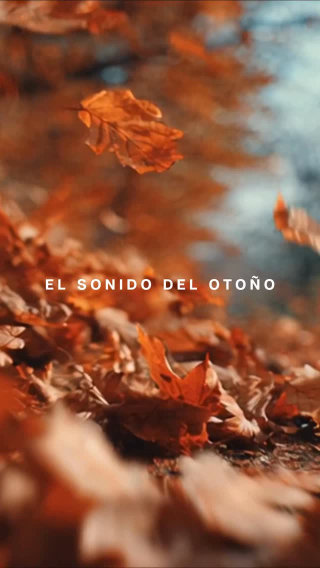 Si necesitás frenar…
el otoño es tu estación
Y Refugio del Lago es tu pausa frente al Lago Gutiérrez.