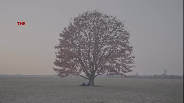 This is why we shoot S-Log3 on FX3.
Full control in post.
.
.
Performance video for @heychris .
.
.
#colorgrading