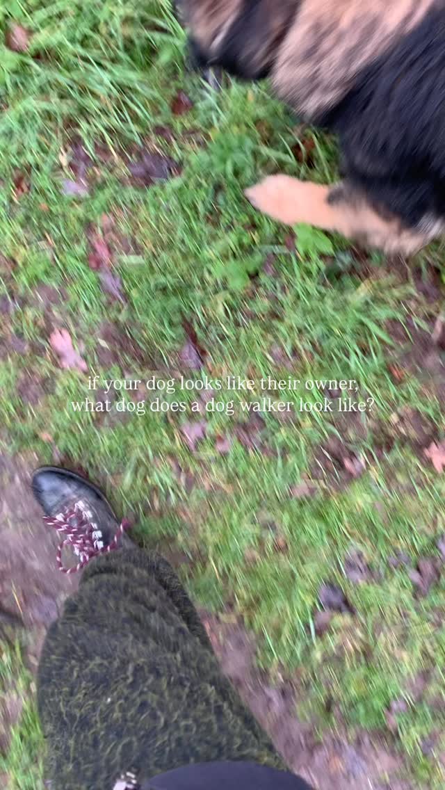 we can’t be the only ones who think about this when we are out walking a wide variety of dogs….
But what’s the answer?? 👀 is it none, all or one?
#dogsofinstagram #viral