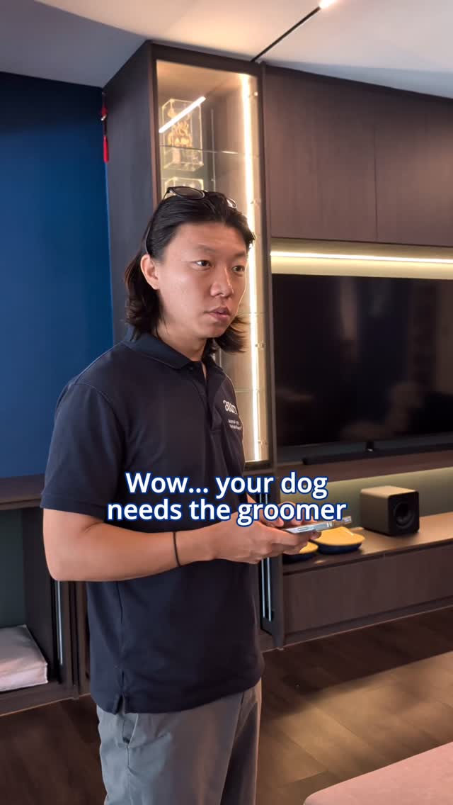 AURA just got a little more “spa-day” and a lot more convenient! We’re officially launching our in-house grooming services! ✂️🐕
• All coats welcome: Whether they’re rocking a thick double coat, curls, or something in between, we’ve got the tools to handle it.
• AURA Fam Perk: Special rates just for our existing hydrotherapy regulars! No more extra trips or stressful salon visits. Now they can go from their session straight to a fresh snip and a blow-dry. 🫧
Shoot us a DM and we’ll give you all the details!