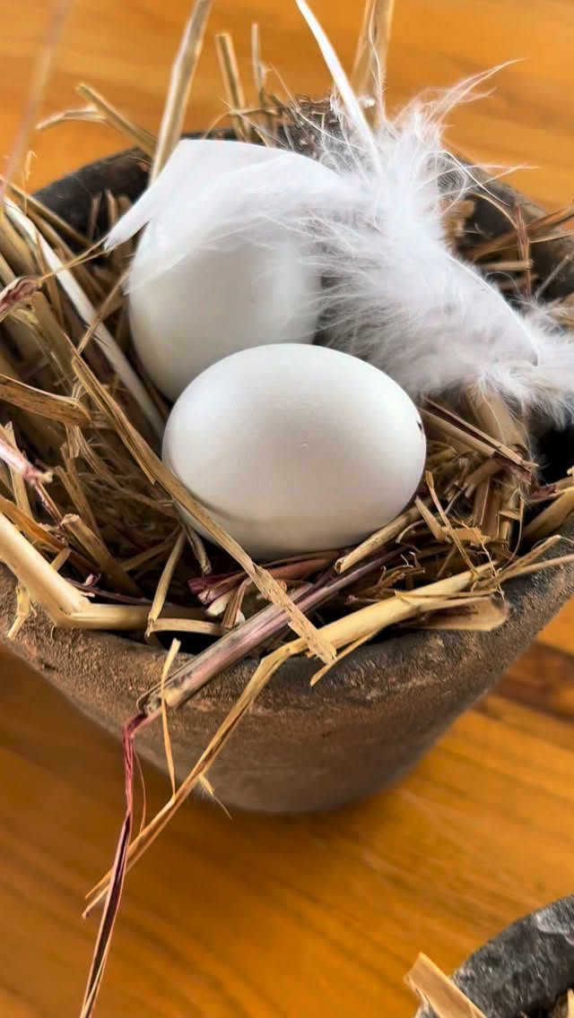 Bei mir herrscht Oster-Alarm 🐰🥚🐣
Die Hasen hüpfen wie auf Koffein, die Eier liegen herum als hätten sie selbst beschlossen, ein Nickerchen zu machen – und irgendwo dazwischen versuche ich herauszufinden, wer hier eigentlich wen überrascht 😆
Ostern ist definitiv in Sichtweite… und meine tierische Deko übernimmt schon mal das Kommando.
Süss? Absolut.
Frühlingsgefühle? 100 Prozent (trotz eisiger Kälte)
Frohes Vorglühen auf Ostern 🌷🥚🐇
#osterdeko #osterdekoration #osternkannkommen #ostern #hasenliebe