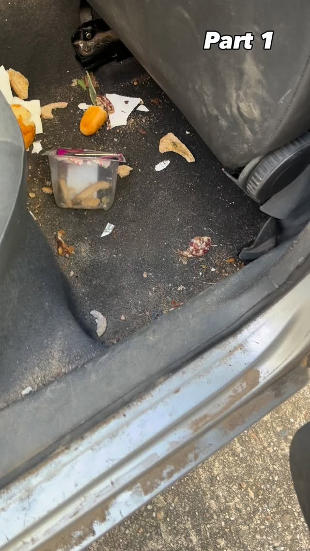 Nettoyage en 5 parties, il y a avait un peu de boulo mais la satisfaction est au rendez-vous ✌️#lavageauto #gironde #detailing #ironclean #volkswagen