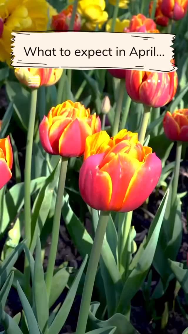 Look what fun we have planned during Easter and the rest of April 🐣 Book now at nature-bugs.co.uk