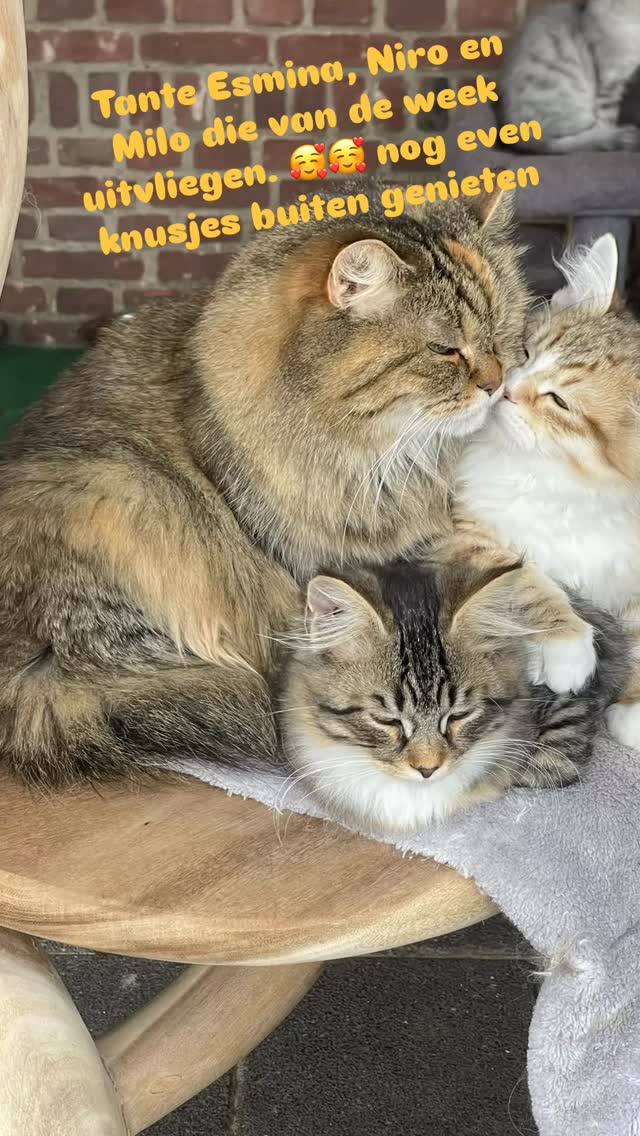 Nog even samen genieten van het lekkere weer 🥰