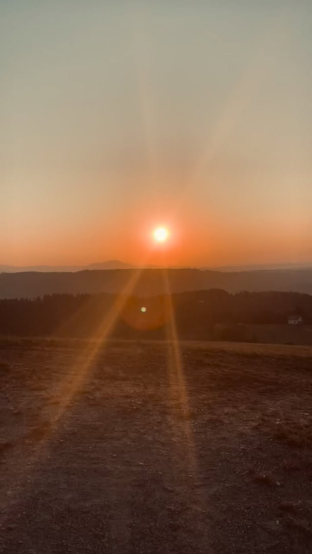 Kennst du deine Vitamin-D-Status? 🩸
Ein guter Vitamin-D-Wert ist für einen gesunden Stoffwechsel nämlich essenziell ☀️
Vitamin D beeinflusst viele Prozesse im Körper – von der Insulinsensitivität über die Energieproduktion bis hin zur Funktion von Muskeln und Schilddrüse. Ist der Spiegel zu niedrig, kann das den Stoffwechsel aus dem Gleichgewicht bringen und sich auf Energie, Gewicht und Wohlbefinden auswirken. 🧘🏻♀️
Wenn du mehr darüber erfahren möchtest, hör rein in unseren Podcastfolge 118 🎉
#vitamindundstoffwechsel #kpnitherapie #ganzheitlichgesund #holistischescoaching #nährstofftherapie