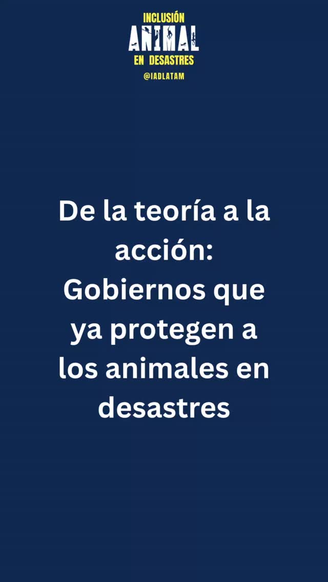 Gobiernos como los de Ecuador, Brasil y Argentina ya tomaron los primeros pasos que demuestran que proteger a los animales en desastres es posible y transformador. Con protocolos claros y capacitación, lograron reducir pérdidas, evitar abandonos y fortalecer la respuesta comunitaria.
¿Tu institución será la próxima en liderar este cambio?
#GobiernosQueInspiran #IADLatam #inclusionanimalendesastres #animal #politica