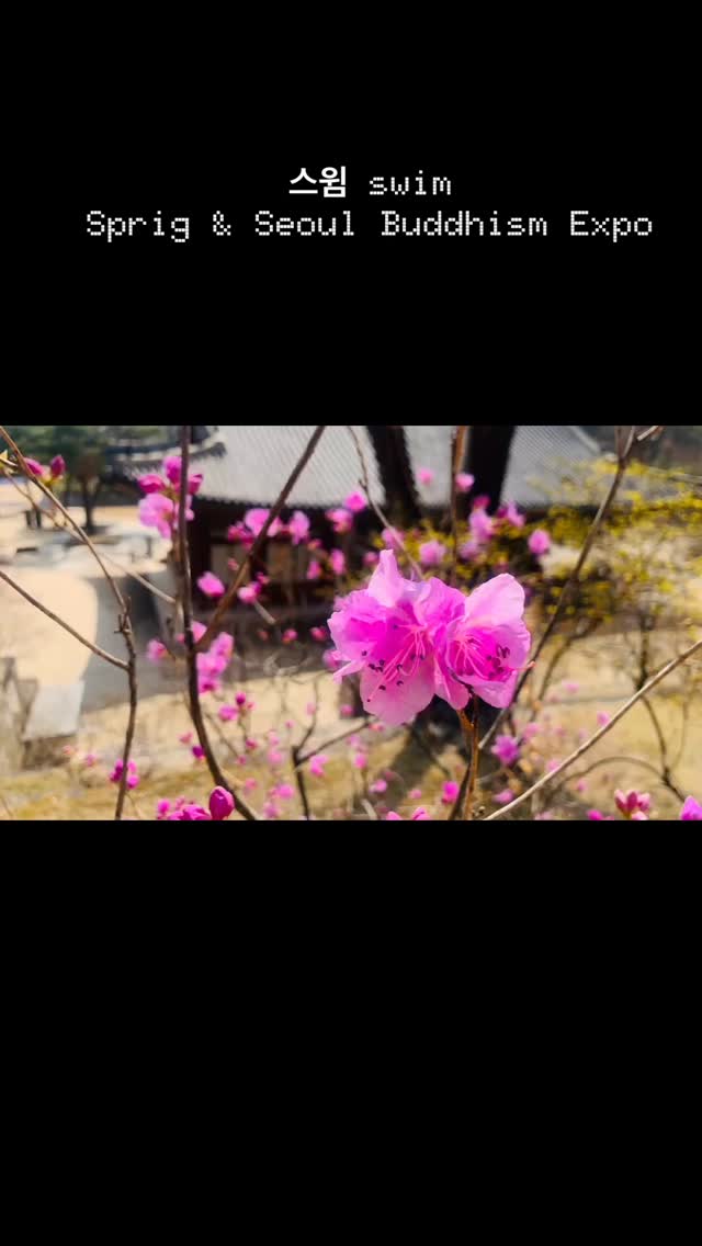 스윔 서울 봄 #봄 #seoul #bts #seonmudo #서울국제불교박람회