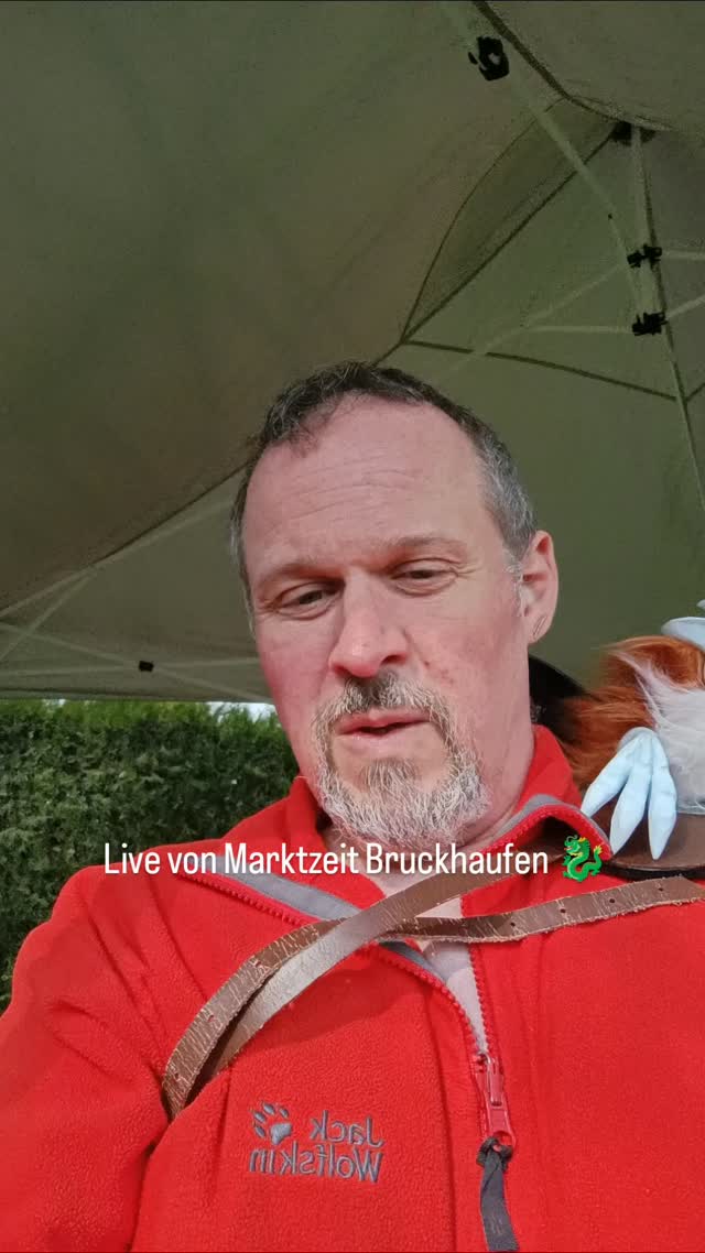 #naxrons #dragons #gutestun #marktwochenende❤️ #handmadewithlove❤