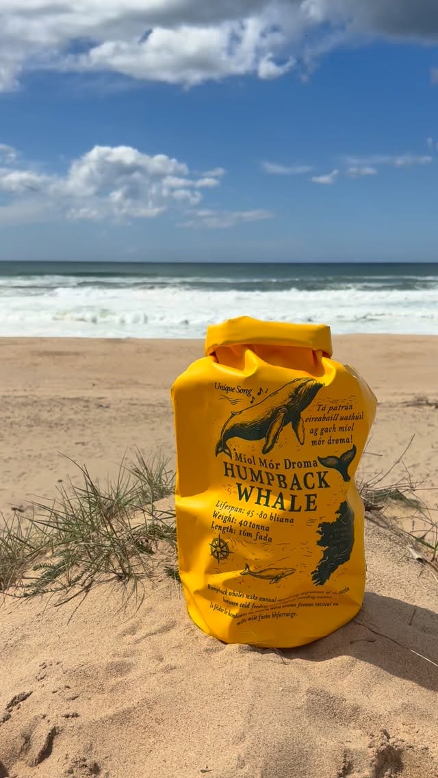 Listen to those waves….they’re calling you 📞
SaltRobe dry bags are perfect for bringing your essentials to the beach and keeping the dry ☔️