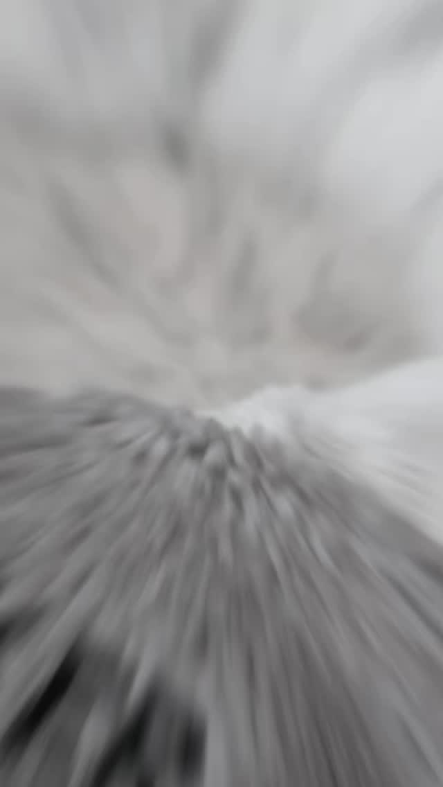 Not just a blanket. Made for the one who means everything🐶🖤
Custom made with your dog’s name,
crafted with care and made to last.
Because they deserve something personal.
Create yours now → kleaheart.com
What’s your dog’s name? 🐾
#KLEAheart #doglover #customdog #personalizedgift #petlovers