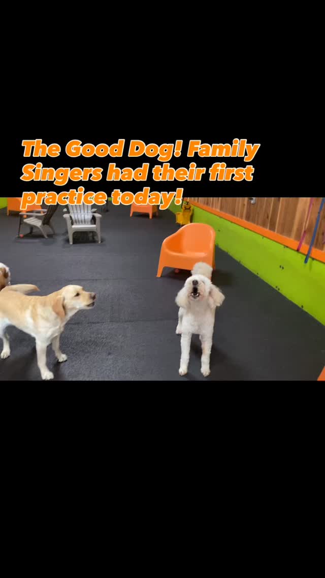 Might not be ready for the big time just yet 😆