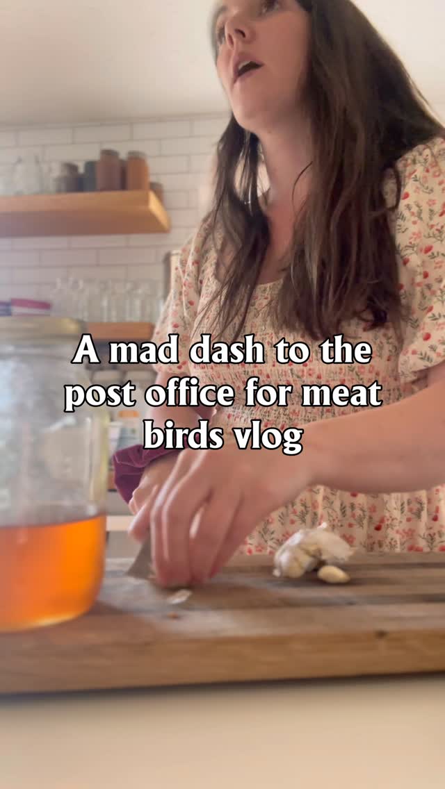 Was I prepared for the call? No. In my defense I thought they were coming on Thursday 🤷🏻♀️
Part 2 will be what our first 24hrs looks like- pick up and getting them settled, also keeping track of any that don’t make it so we get a credit back from the hatchery