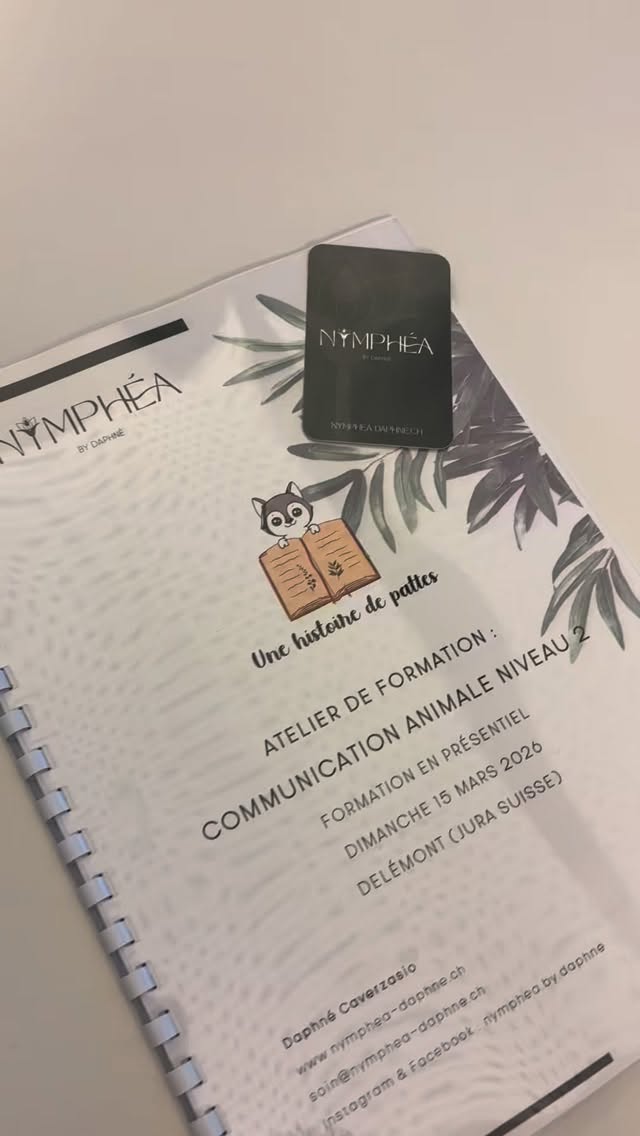 .
Retour sur la Formation de Communication animale que j’ai eu le plaisir de donner les 1 et 15 mars à Delémont à onze participant.e.s 🐱🐾🐶
Ils ont appris à trouver leur canal de réception, à communiquer avec les animaux, comprendre et répondre à leurs problématiques avec des solutions pratiques, et accompagner les propriétaires qui souhaitent discuter avec leurs boules de poils disparues. ☁️
Quel bonheur de transmettre un peu soi.
🤍
#communicationanimale #formation