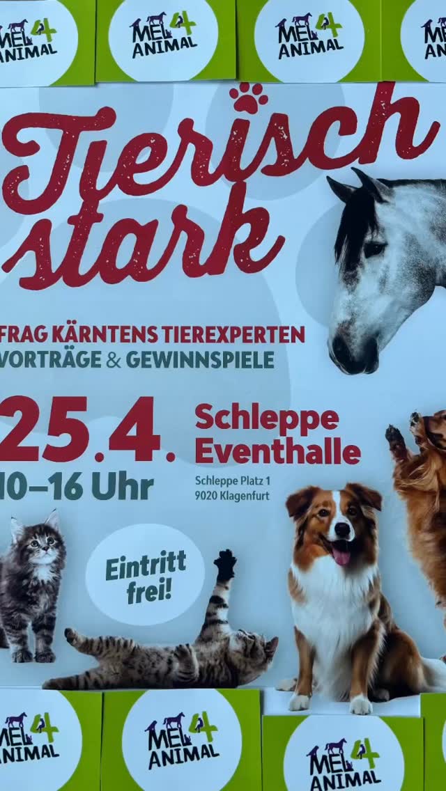 Wie wird dein Hund, Katze oder Pferd zum treuen Begleiter? Besuche mich auf der Tierisch stark Messe am 25.04. in Klagenfurt ❤️ #mel4animal #happydog #horsemanshipmalanders #katzenversteherin