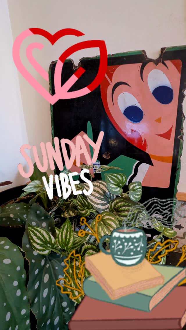 This is your self-care reminder, if you haven't already, take a moment for yourself today.
Just 10 minutes tuned out to the hub bub can do you the world of good, especially after losing an hour of sleep this morning.
We need to remind our brain and body, we are safe. When this happens everything else starts to shift for the better.
Happy Sunday 😌 🩷❤️