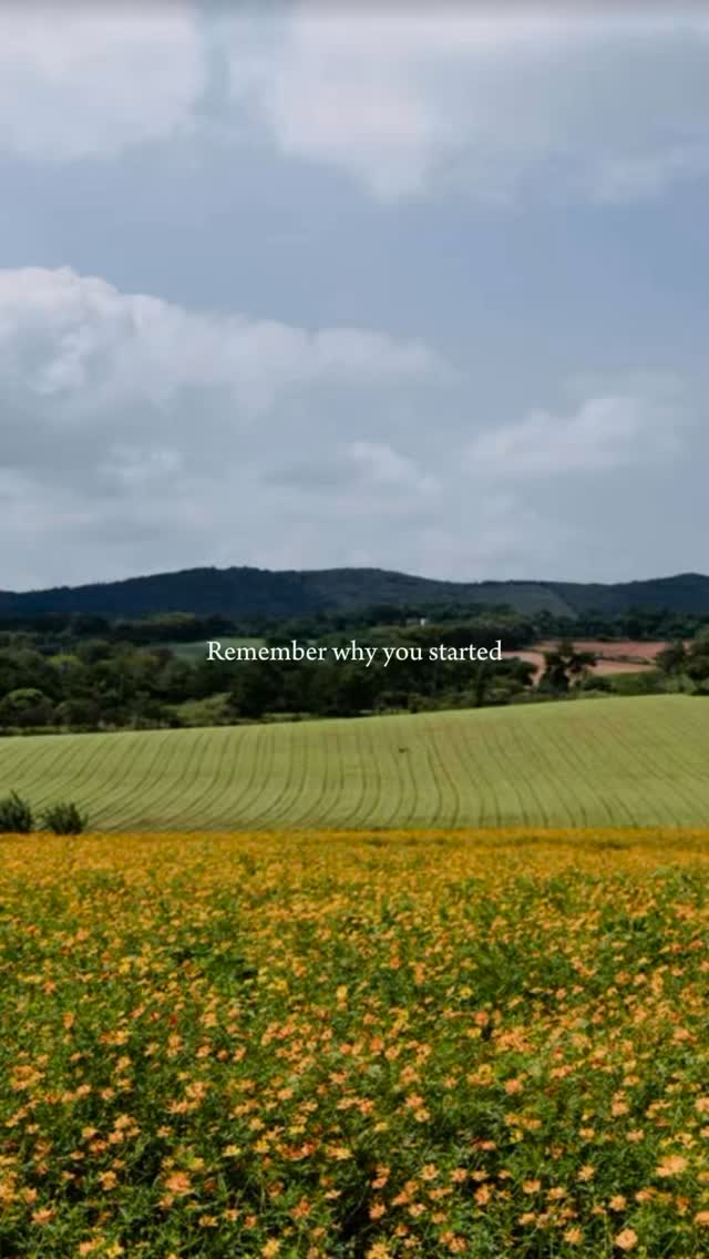 Motivation will get you started…
but it won’t keep you going.
That’s where discipline steps in.
That’s where consistency does the heavy lifting.
Because the truth is—
you don’t build anything meaningful by showing up when you feel like it.
You build it when it’s inconvenient.
When it’s quiet.
When no one is watching.
So today, remember why you started.
Lock back in on what fuels you.
And don’t forget what you’re building.
Because the promise you made?
It still matters.
And at the end of the day—
you either do it…
or someone else will.
Happy Friday. Stay focused. 🔥 #spiritualgrowth #leadership #fridayvibes #friday #christianwomen