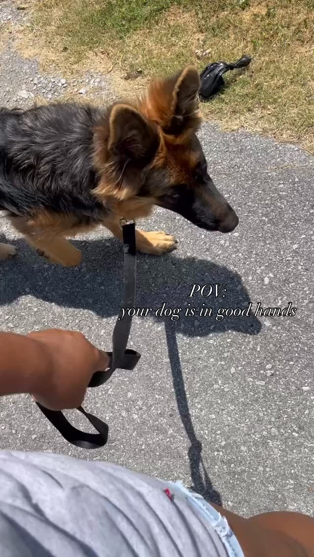 Calm walks don’t happen by accident.
They come from consistency, attention, and understanding each dog’s needs.
That’s the standard we bring to every visit 🤍
Currently accepting new clients for walks & drop-ins.
🔗 Link in bio
#nashvillepetsitter #hendersonvillepetsitter #dogwalking #germanshepherd #petcare