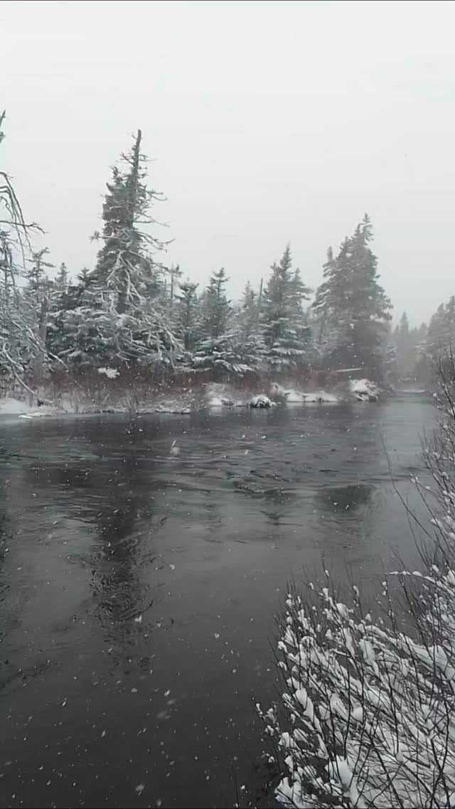 Little high water eddie over the rocks. More snow days. 🤍🤍
