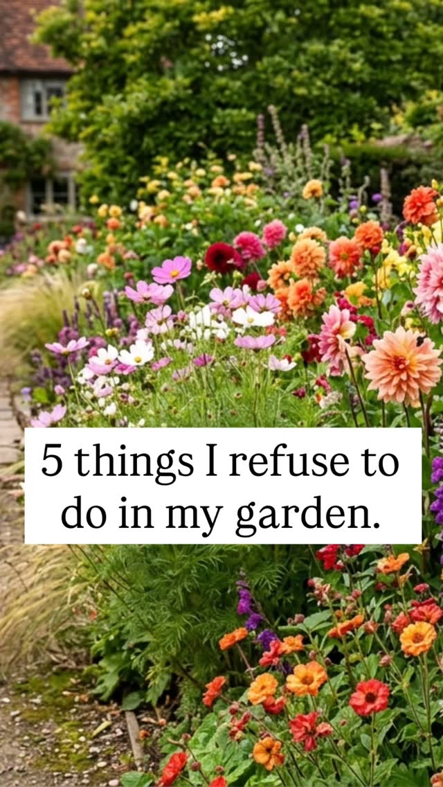 I’m not saying I’m difficult, I’m just saying my garden operates on a very specific set of non-negotiables. Amongst other things you’ll see me talking to the ladybugs and hiding new plants from my bank account.... 🤫
Here’s 5 things I flatly refuse to do in my garden:
1. Chemicals: I refuse to use pesticides. If the bugs want a snack, they can have a natural one. We keep it organic and chaotic over here! 🐞
2. Throwing Compost: Throwing away used compost? In this economy? Absolute sacrilege. That’s “black gold” and it’s staying right here.
3. The Fiber Pot: I’m done with fiber pots. They start out insta cute and end up looking like a mouldy science experiment gone wrong. 🤢
4. Taking Cuttings: I will never stop taking cuttings. Do I need 14 more Penstemon babies? No! But I’m going to snip them anyway. Obviously.
5. Buying plants: I refuse to stop buying plants. “No more room” is just a lack of imagination. If there’s a square inch of dirt, there’s a way. 🪴
What are your none-negotiable rules in your garden? Let me know below ⬇️
#PlantParent #OrganicGardening #GardeningTips #PlantAddict #GardenGoals