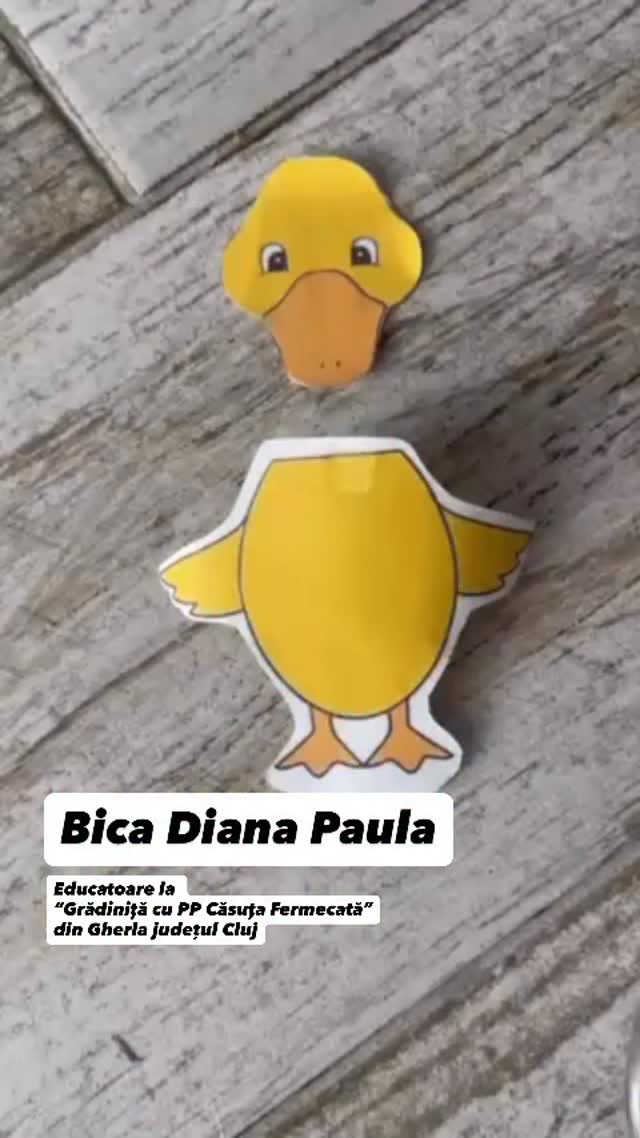 Avem o recomandare de activitate pentru acasă, venită de la o educatoare din comunitatea noastră.
❤️ Mulțumim, Diana Paula, educatoare la Grădinița cu PP „Căsuța Fermecată” din Gherla, pentru această idee simplă și utilă pentru cei mici.
Activitate educativă – „Cu ochii privesc și capul îl potrivesc ” 🐒🦁🐘🦆
O activitate simplă și distractivă pe care o puteți realiza acasă împreună cu cei mici!
Avem nevoie de :
•imagini cu animale ( domestice/ sălbatice)
•o foarfecă
•lipici (solid/lichid)
•tub de carton
•cleștișor de lemn/ plastic
Prin această activitate, copiii:
🧠 își dezvoltă capacitatea de recunoaștere a animalelor
👀 exersează atenția și observarea detaliilor
✋ își antrenează motricitatea fină prin prinderea cleștilor
🎯 realizează corespondența corectă între cap și corp
🗣️ își îmbogățesc vocabularul denumind animalele
Este o activitate interactivă, care îmbină jocul cu învățarea și îi ajută pe copii să învețe prin manipulare și explorare. O puteți adapta ușor folosind orice animale aveți la îndemână.
Ne bucurăm să vedem educatoare implicate care își doresc să ofere părinților idei de activități care chiar au sens.
#RecomandareDeLaEducatoare #gradinitaonline #activitaticopii #activitatipentrucopii #kidsactivities