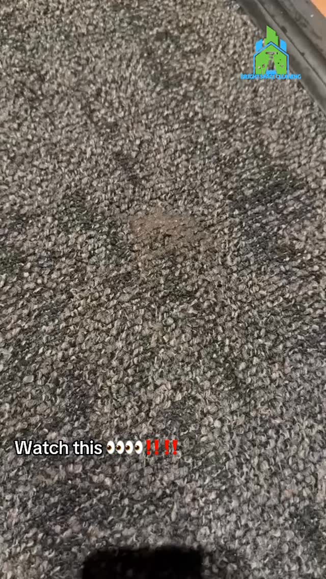 Dirty rug spot? Watch how we remove it fast
Expert rug and carpet cleaning service in NYC
#NYCCleaningService #RugCleaningNYC #CarpetCleaningExperts #StainRemovalNYC #CommercialCleaning ResidentialCleaning