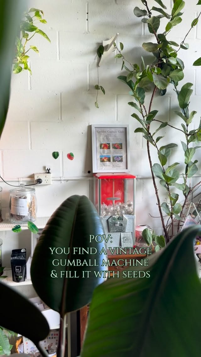 Welcome to the Garden Capsule Club 🌸