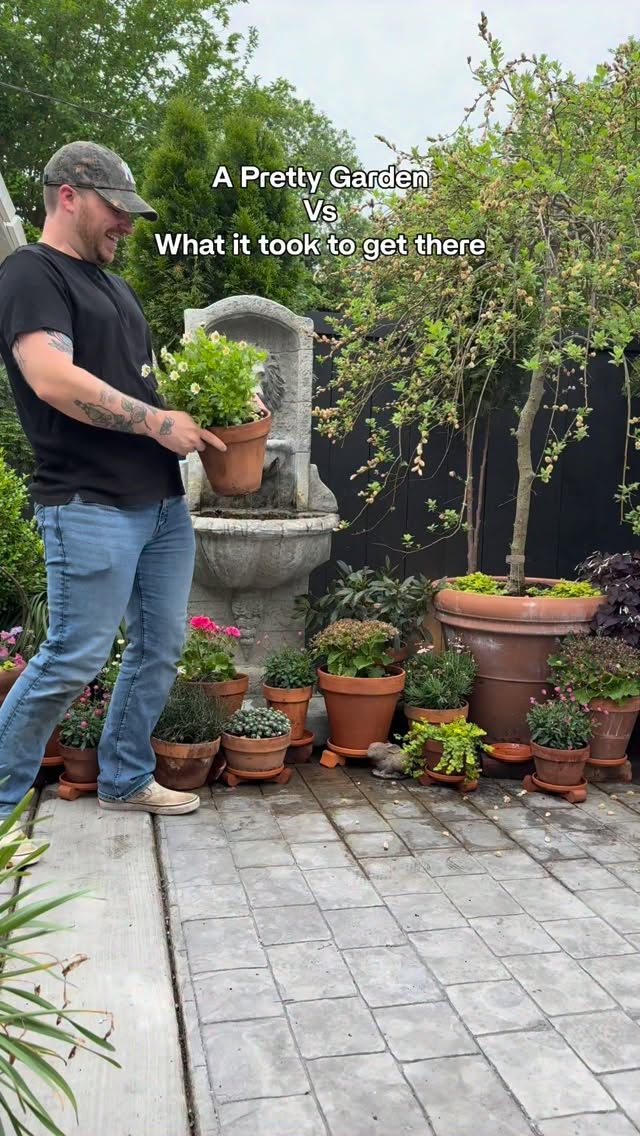 I think the video says it all….