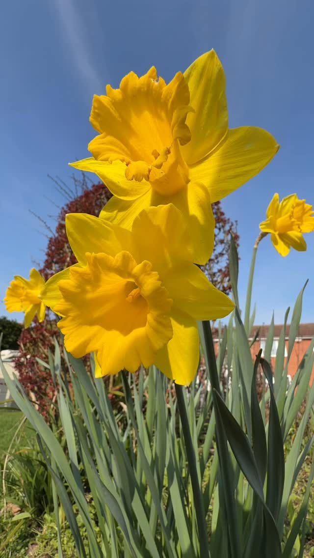 🌼 Nobody can wind you up without your permission.
We’ve all been there! We say things like “She really annoys me” or “He winds me up so much” but they’re not doing it to you. You’re allowing it. You’re giving them permission.
How we react is one of the few things we can control and when we work with that, everything changes; it really is liberating. Other people’s bad days stop becoming ours.
🌼 You deserve a good day. Every day. 💛 Don’t gift anyone permission to spoil it.
#selfcare #emotions #anger