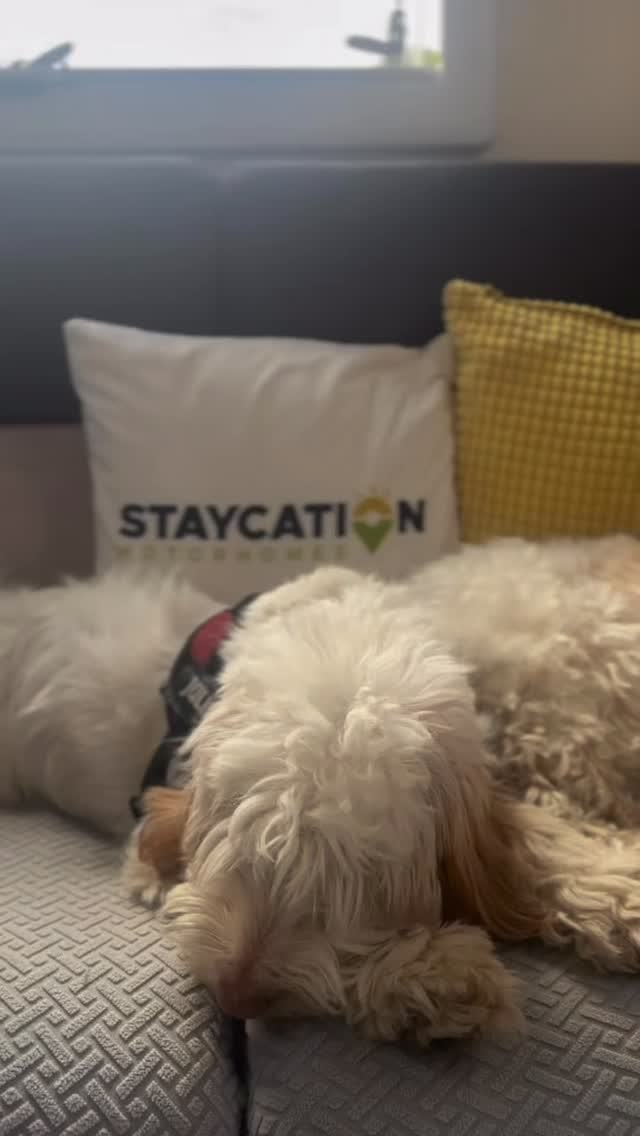 Peak District with your pup? Lake District with your lab? Yorkshire moors with your mate?
All welcome here 🐕🦺💫
Book your dog-friendly escape with Staycation Motorhomes, find out more via the link in our bio!